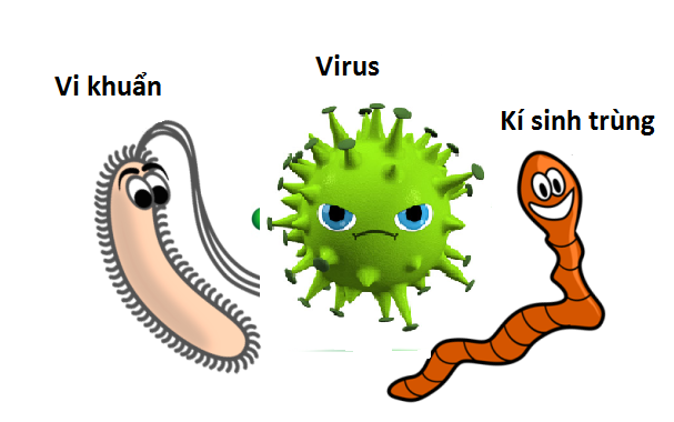 Trẻ bị viêm họng thường do virus và vi khuẩn gây ra.png
